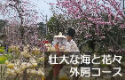 北総コース