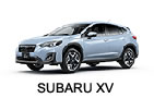 ＸＶ